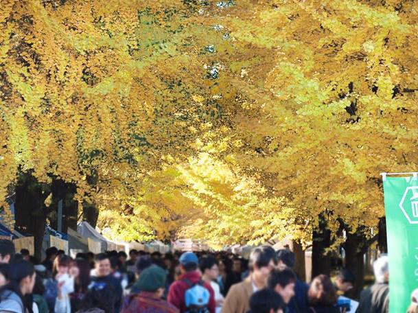 【11/23（月・祝）「駒場祭」】東大ダーツサークルの配信を実施します！